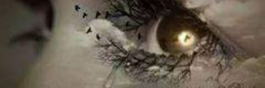 33Natyquezada's profile banner image