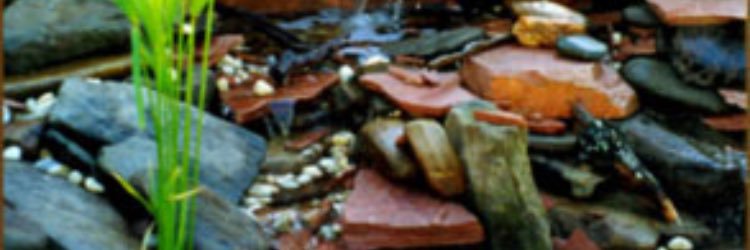 SkorpioR's profile banner image