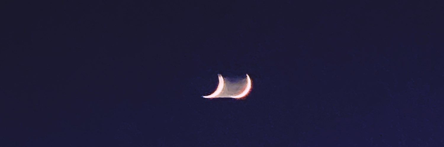 Maddyroe13's profile banner image