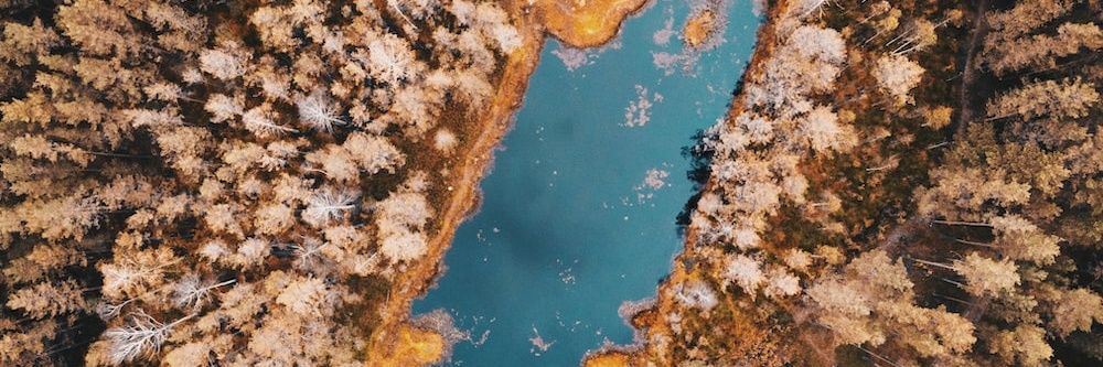 bambeedev's profile banner image