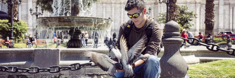 toritodepucara's profile banner image