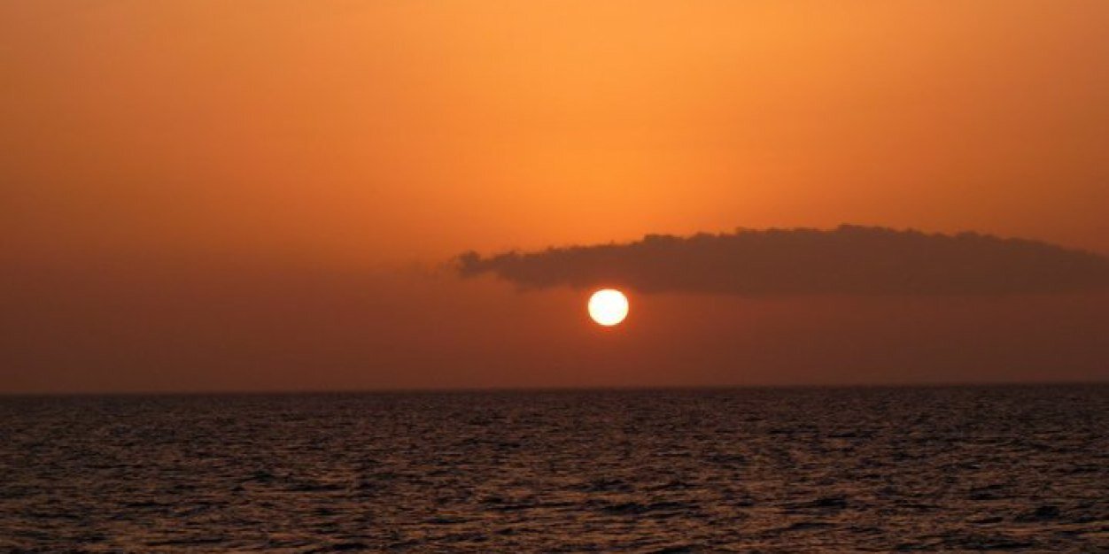 jo_warne's profile banner image