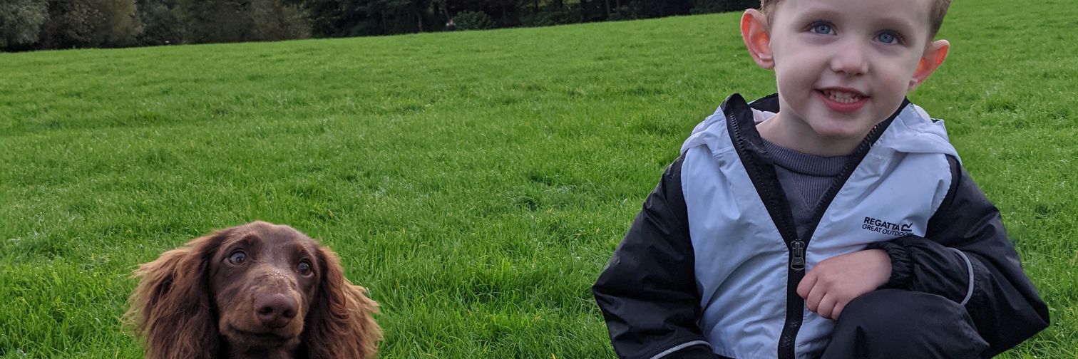 Anthony English banner