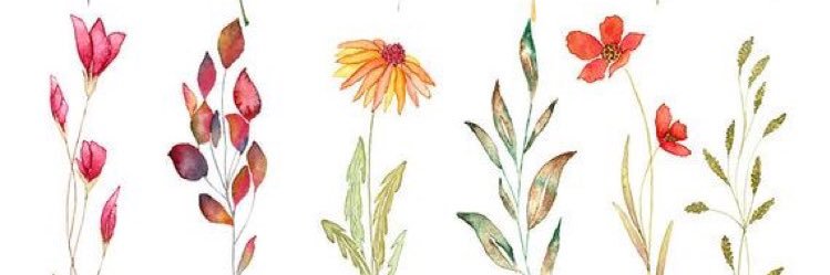 denisereul's profile banner image