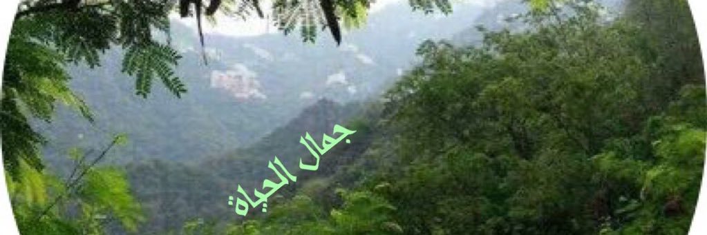 fguj13's profile banner image
