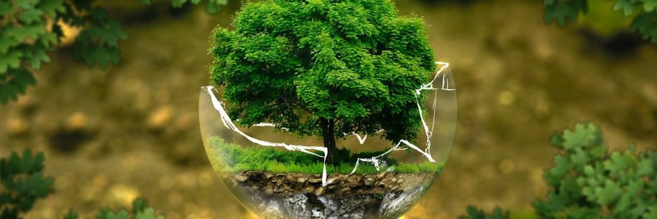 mxmqroo's profile banner image