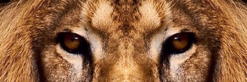 biggen22's profile banner image