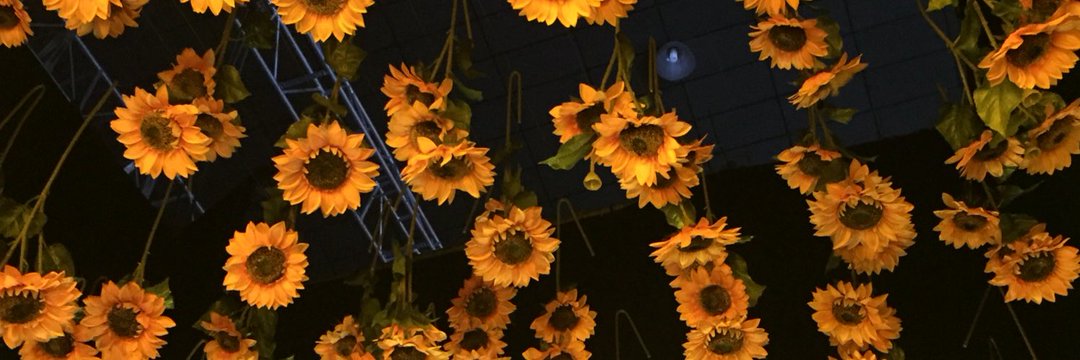 Hue_Quitos's profile banner image