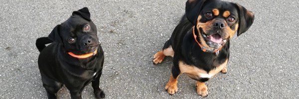 robbbxx_ Profile Banner