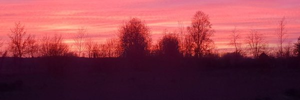 Noerqs Profile Banner