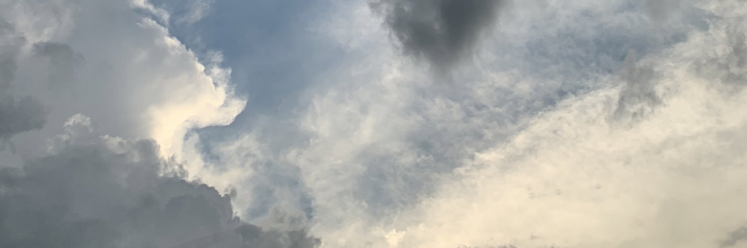 drewrenee_'s profile banner image