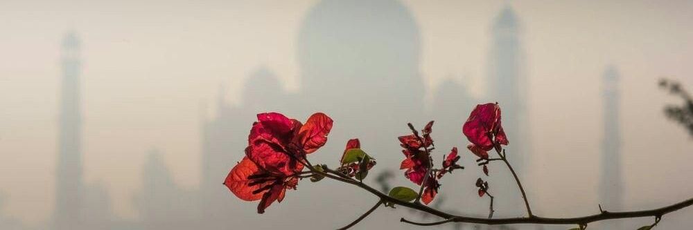 TknSara's profile banner image