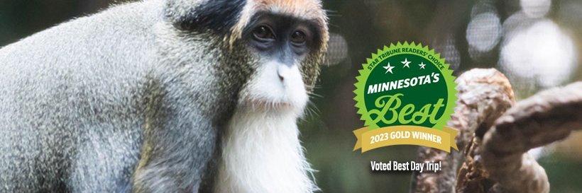 mnzoo's profile banner image