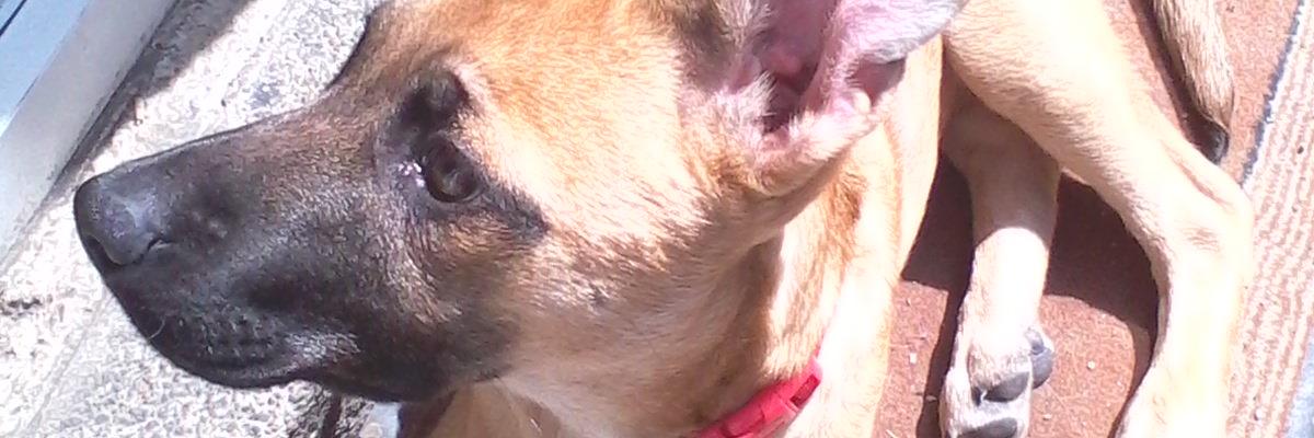 TracyBFC's profile banner image