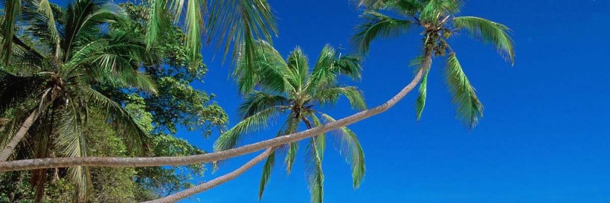 GAdv_Addy's profile banner image