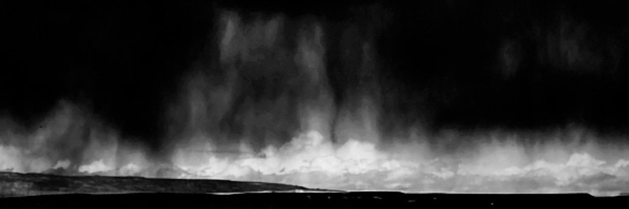 sheawolf96's profile banner image