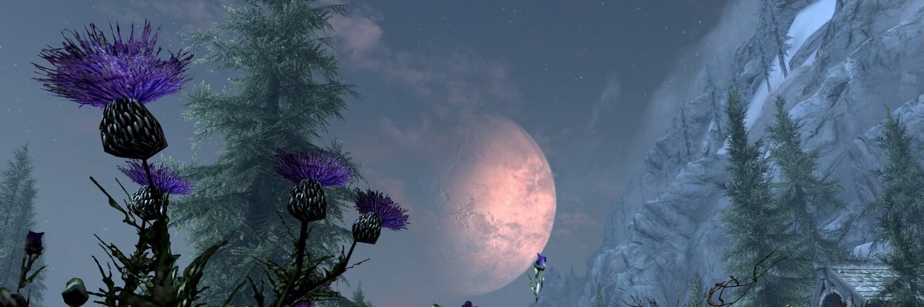 macameron66's profile banner image