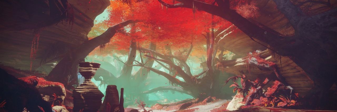 kaiydid's profile banner image