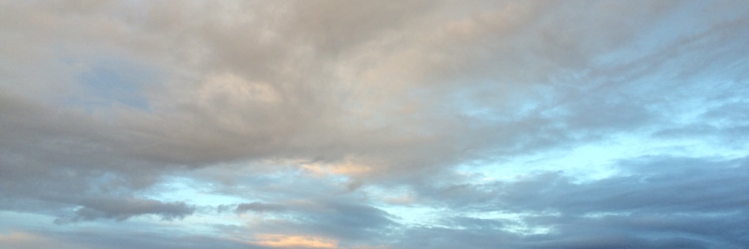maysaabouchakra's profile banner image