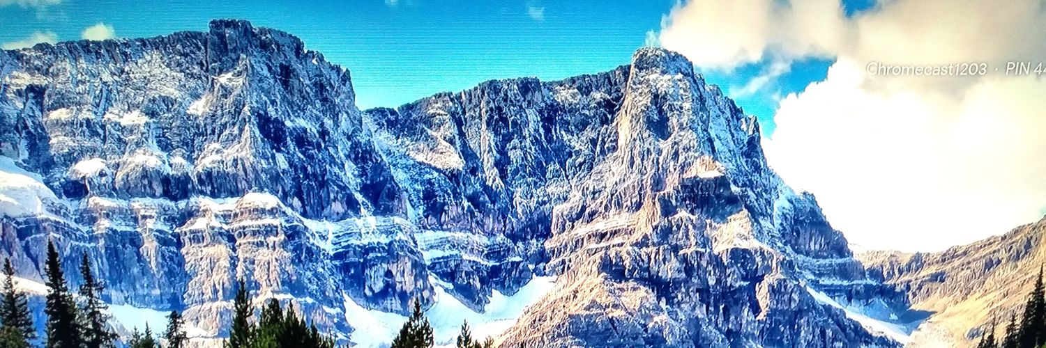 StephenieGolde2's profile banner image