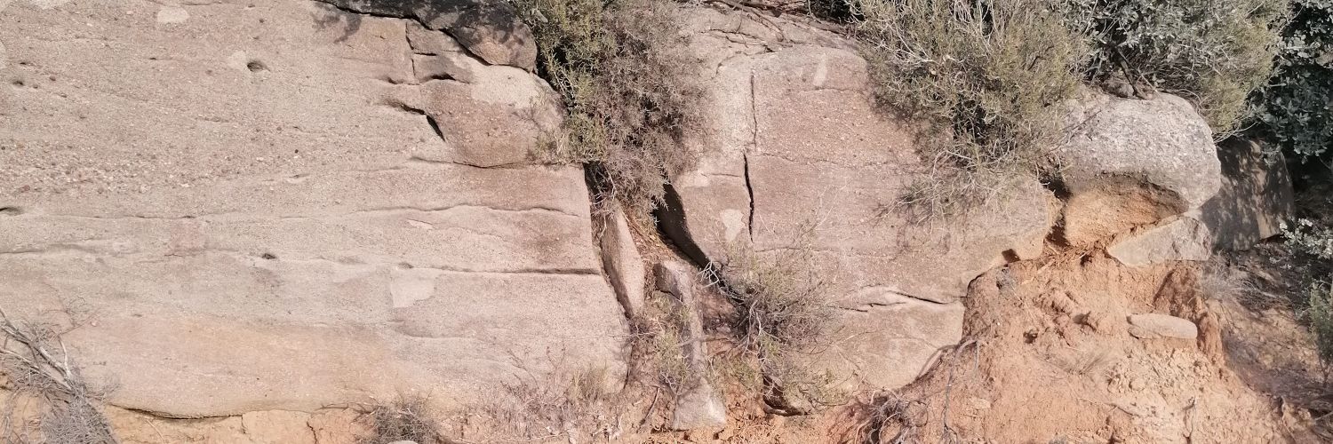 sebaxalbert's profile banner image