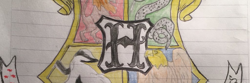 federomero17's profile banner image