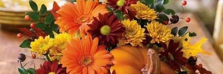 Pawanbadgoti's profile banner image