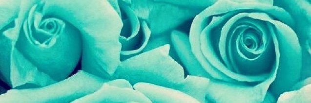 JustJuliet4's profile banner image
