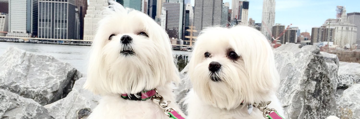 JenniferLarsen's profile banner image