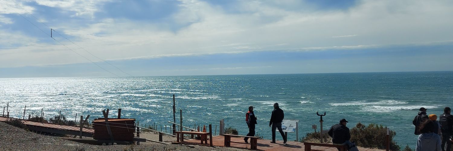 dahyfeedeli's profile banner image