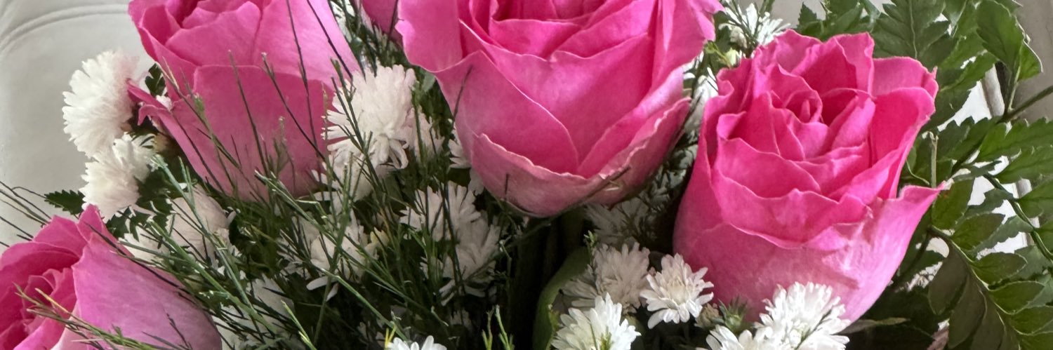marimartinelli_'s profile banner image