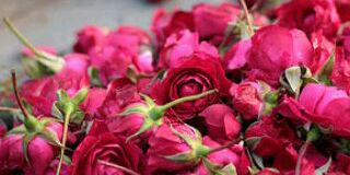 mhd44353's profile banner image