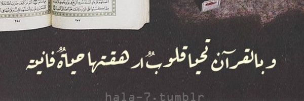 FoFo445544's profile banner image