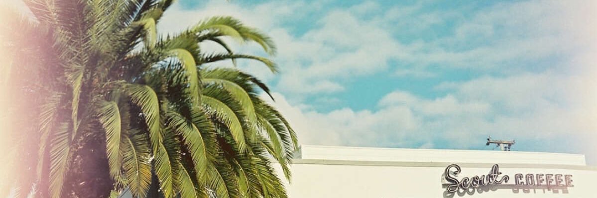 Katy banner