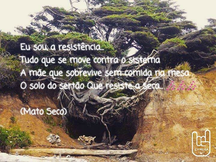 FelipeSoulRoots's profile banner image