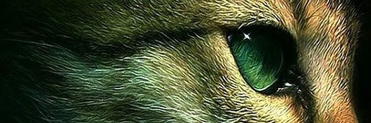 PrinceLuck_'s profile banner image