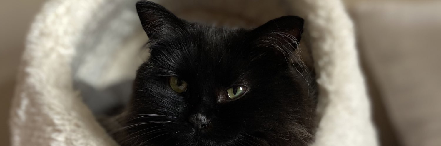 vikkimasonx's profile banner image