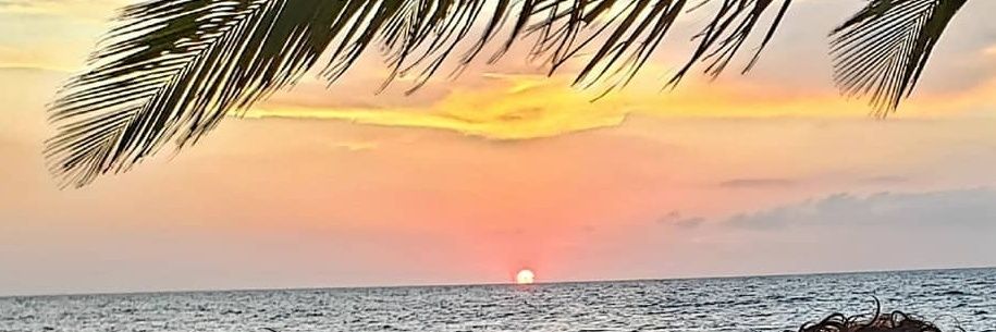 andresrey77's profile banner image