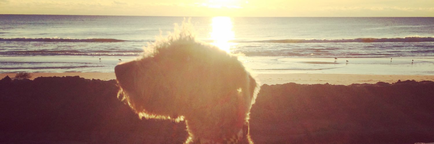 lwaters16's profile banner image