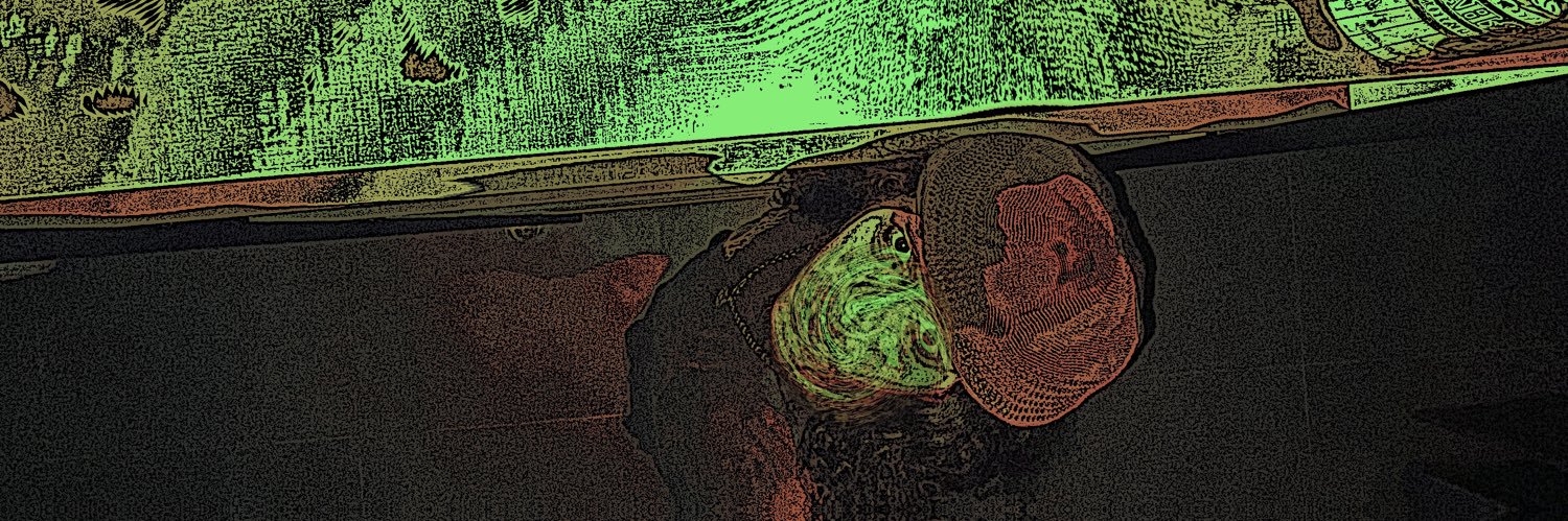 CARRODOPICOLE's profile banner image