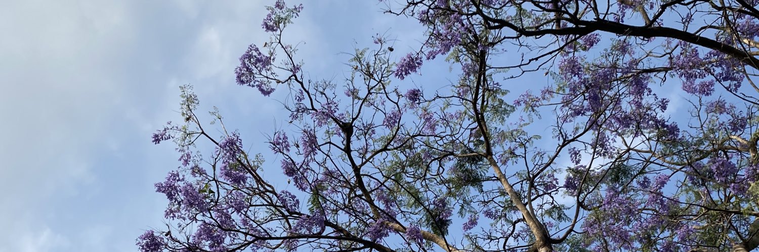 DanielaMorenoF's profile banner image