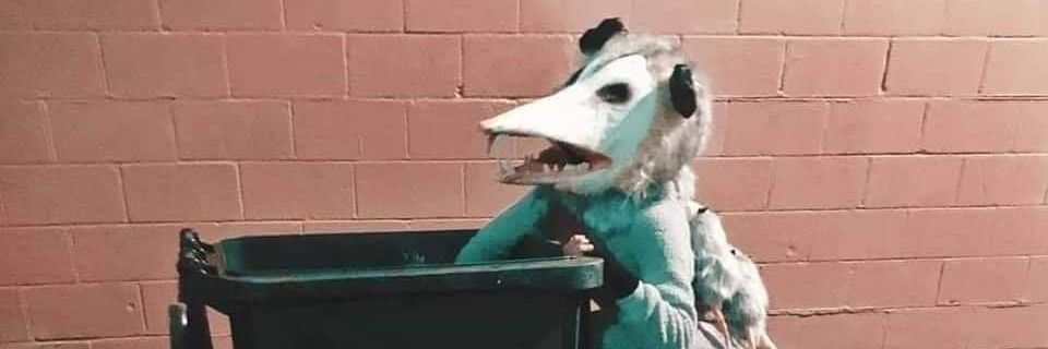 WVwinopunk's profile banner image