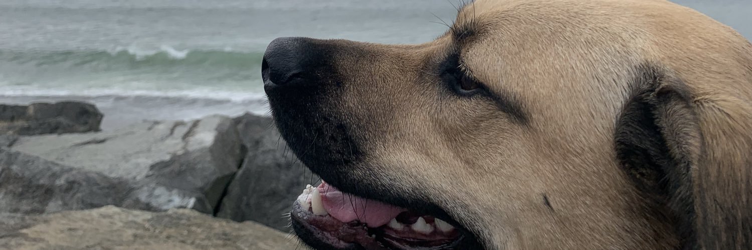 sageflips's profile banner image
