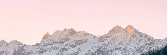 elcipppe's profile banner image