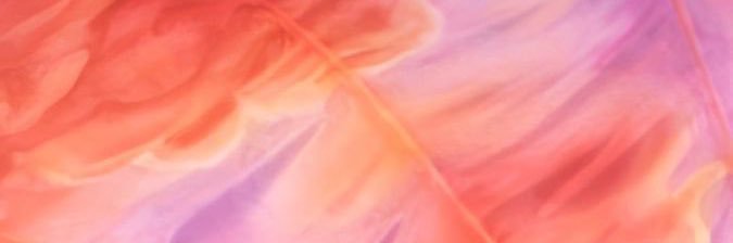 AnabelNosek's profile banner image