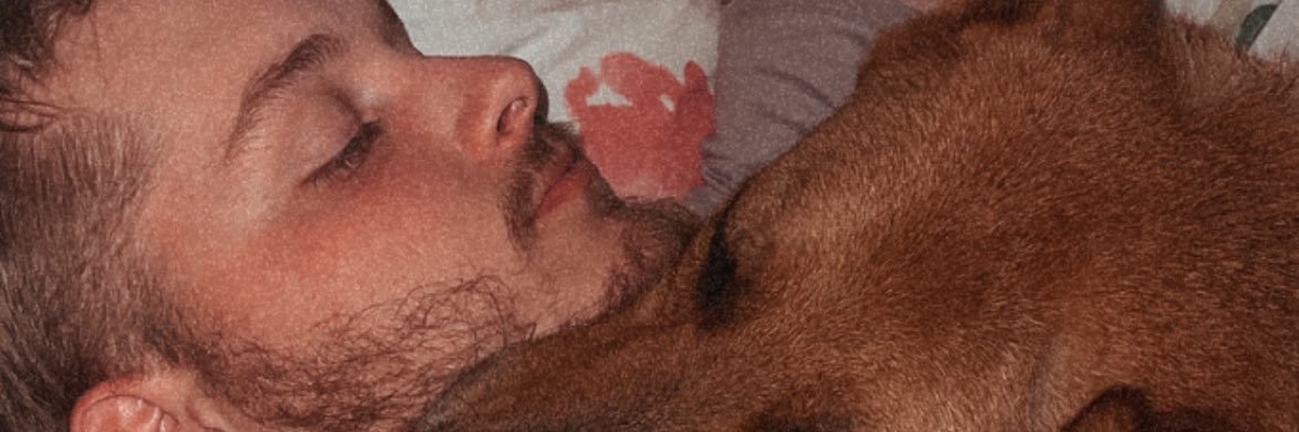 allypancoast's profile banner image