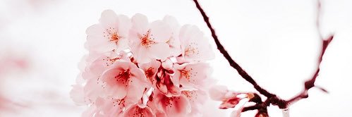 HaNoOoF's profile banner image