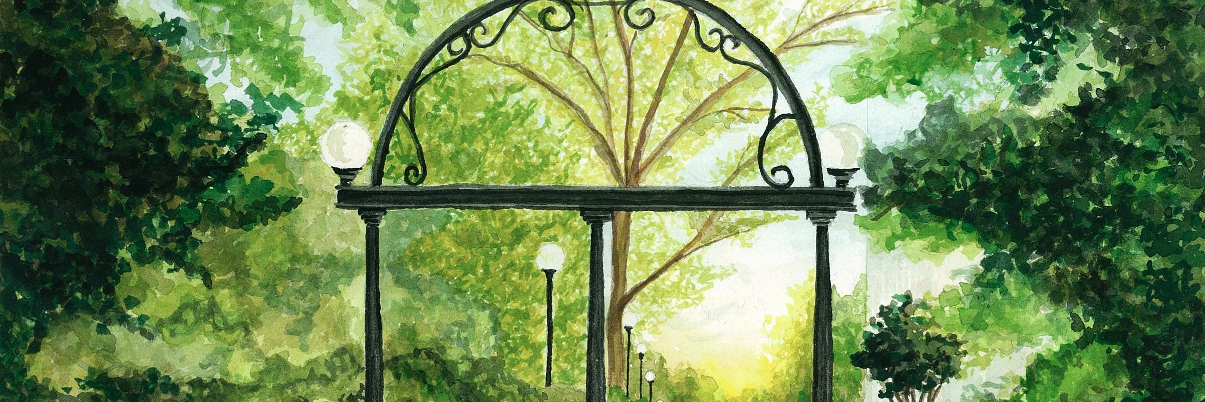 PiperEDavis's profile banner image