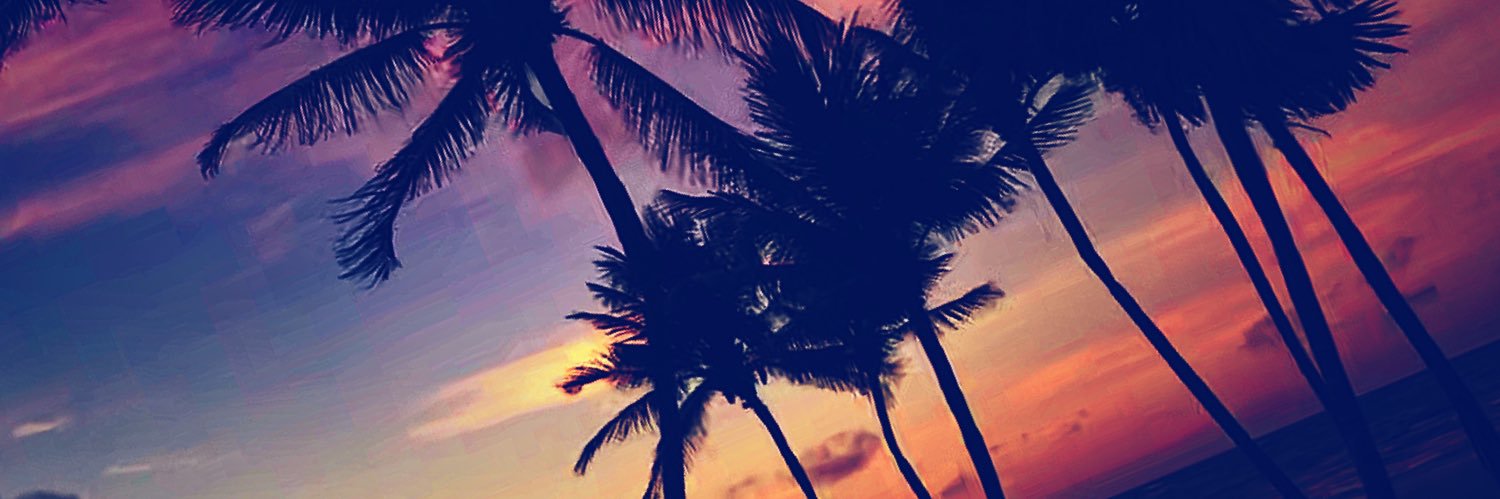 Zef_xual! banner