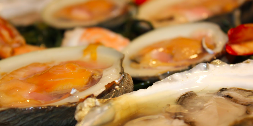 EastchesterFish's profile banner image